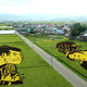 Illustration for article titled Behold These Incredible Artworks Grown from a Rice Field in Japan